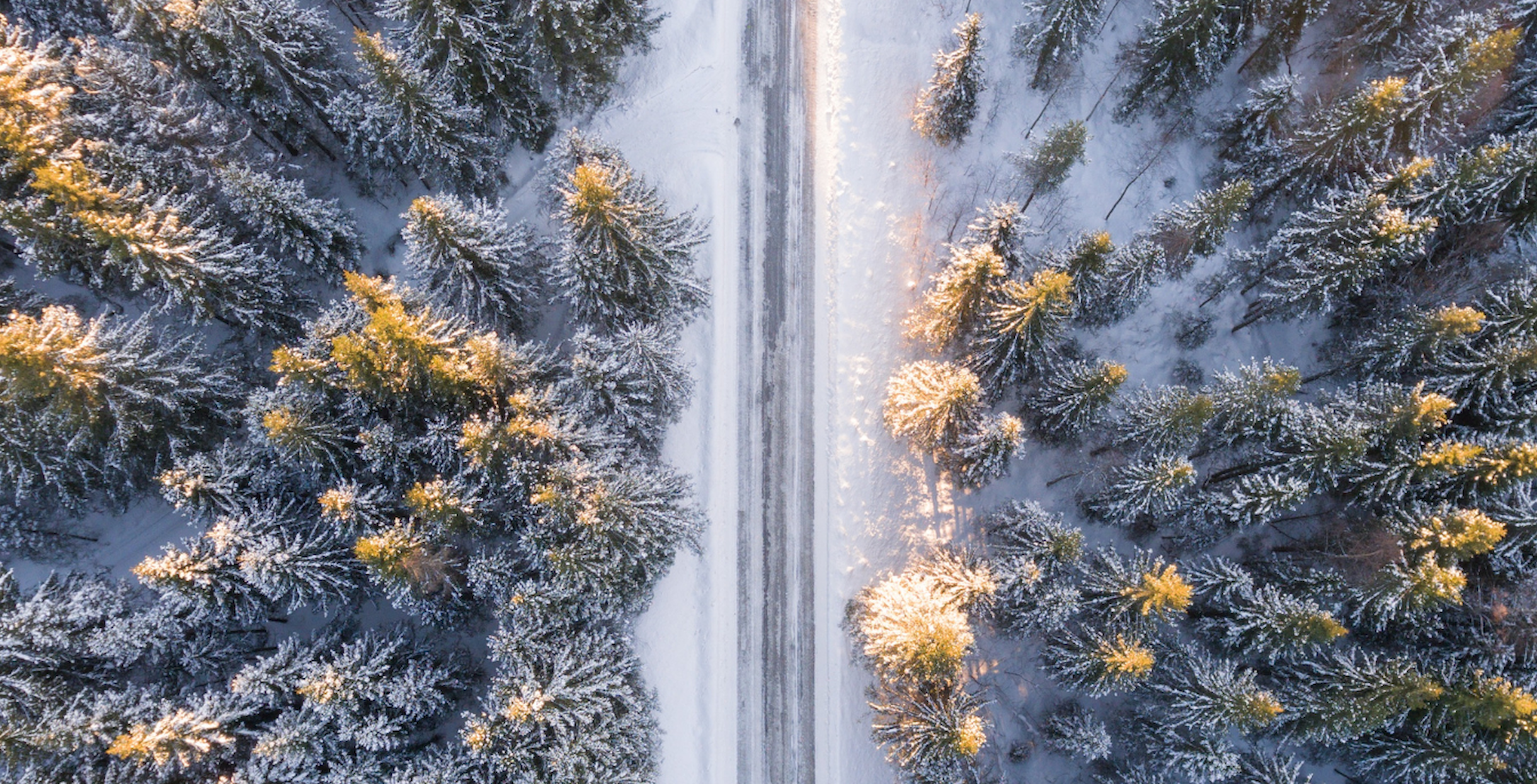 Straße in Winterlandschaft